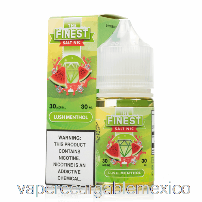 Vape Recargable Lush Mentol - La Mejor Sal Nic - 30ml 30mg